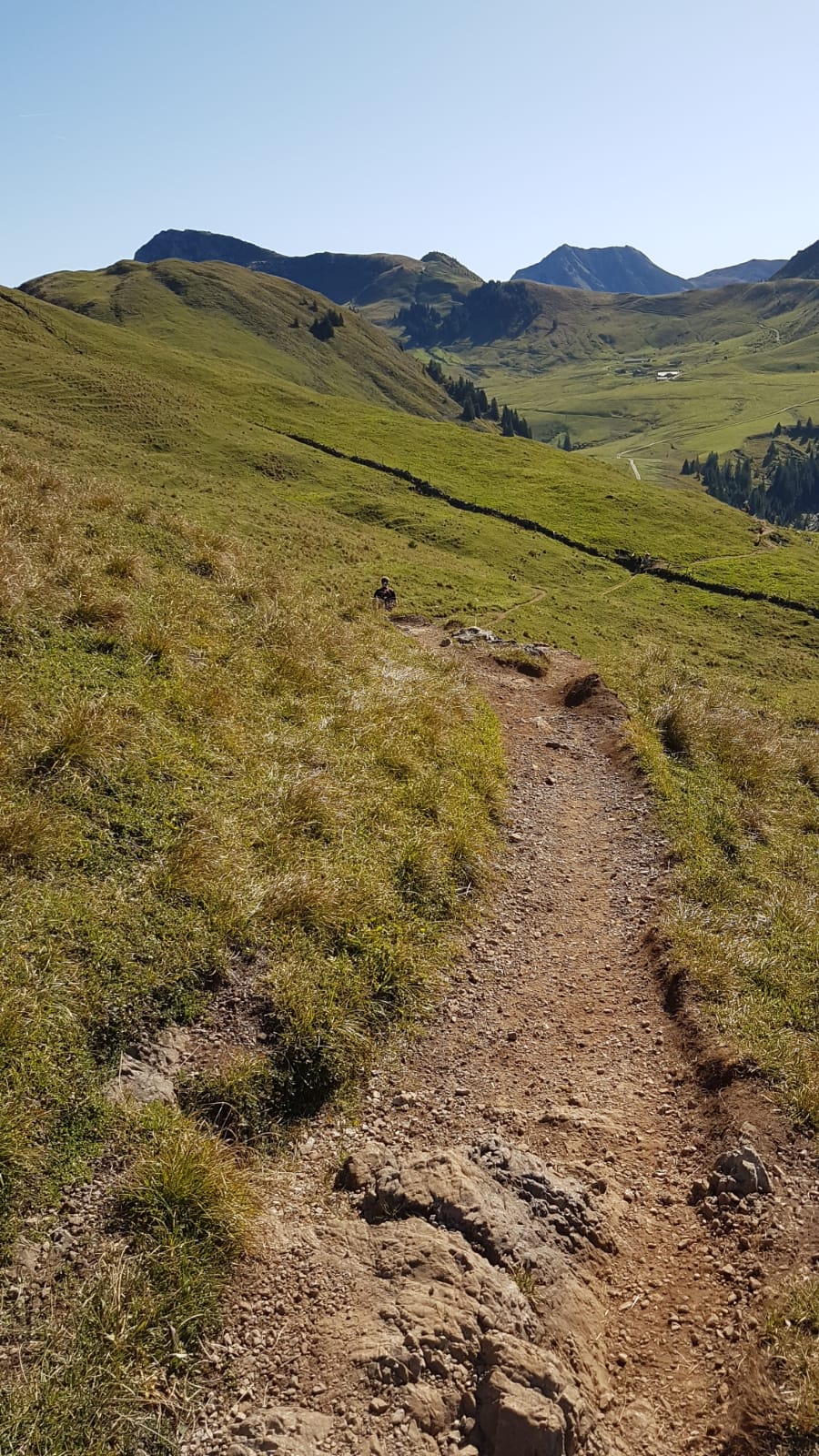 SG Indersdorf Gamstrail Kitzbühel 1